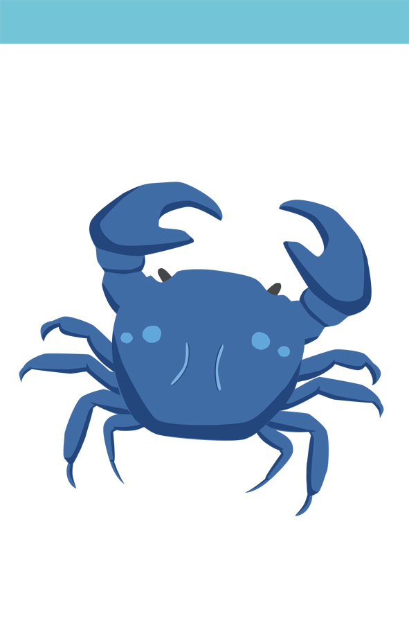 タイドプールの生き物 2